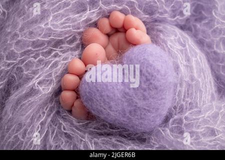 The tiny foot of a newborn baby. Soft feet of a new born. Knitted purple, lilac heart in the legs of a baby.  Stock Photo
