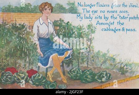 'No longer flowers grace the view, The eye no roses sees. My lady sits by the 'tater' patch Amongst the cabbages & peas': cartoon of a woman sitting in her former flower bed amongst potatoes, cabbages and peas. This First World War postcard was sent in 1915 and refers to the increase in people on the home front growing their own fruit and vegetables in response to increasing food prices and food shortages Stock Photo