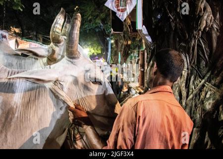 Dhaka, Bangladesh. 8th July, 2022. Vendors selling cows in the market for EID-UL-ADHA. EID-UL-ADHA is 2nd biggest festival for Muslims. People sacrifice cows and goats in this festival. This image was captured on 2022-07-07, from Shahajanpur EID-UL-ADHA cow market, Dhaka. (Credit Image: © Md. Noor Hossain/Pacific Press via ZUMA Press Wire) Stock Photo