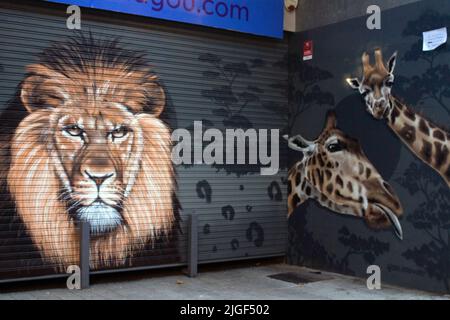 Painting of lion and giraffes' heads on a shop front blind, Barcelona, Spain Stock Photo