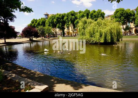 Pond on Feltham Green, London, United Kingdom Stock Photo