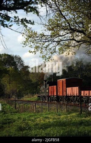 '30053' and a short goods train. Seen here  near Wittersham Road. Stock Photo