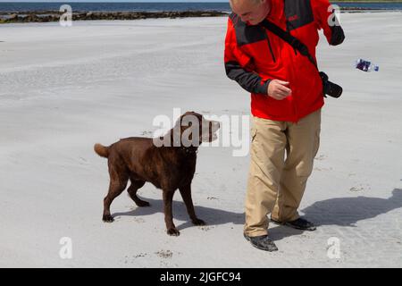 Middle aged man in a red coat and a Chocolate Labrador playing with a plastic bottle found on a beach in South Uist, Western Isles, Scotland Stock Photo