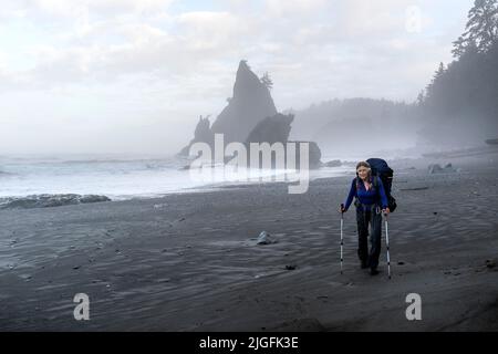 WA20554-00....WASHINGTON - Vicky Spring backing along Rialto Beach in Olympic National Park.  MR# S1 Stock Photo