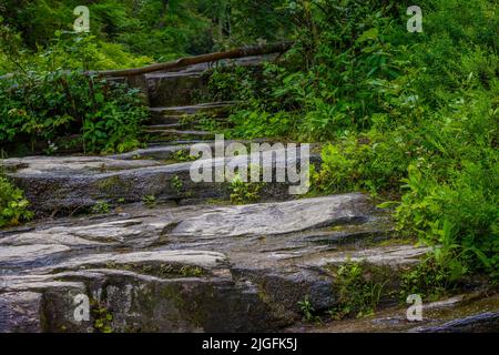 Natural stone steps used on a hiking trails that follows the Little River in the Dupont Forest, North Carolina Stock Photo