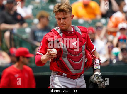 Los Angeles Angels catcher Max Stassi is pictured against the Texas ...