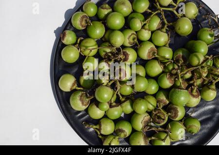 Indian fruit Green Fragrant manjack or snotty gobbles also known as Glue berry, bird lime tree, Indian cherry, Lasoda or Gunda. These fruits are used Stock Photo