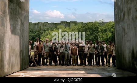 BRODIE-SANGSTER,O'BRIEN,POULTER, THE MAZE RUNNER, 2014 Stock Photo
