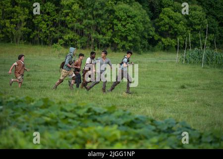 Dylan O'Brien, Kaya Scodelario & 'Maze Runner' Cast Reunite on Zoom During  Quarantine, Dexter Draden, Dylan O'Brien, Kaya Scodelario, Ki Hong Lee, Maze  Runner, Thomas Brodie-Sangster, Thomas Sangster-Brodie, Will Poulter