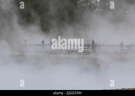 Visitors using Yellowstone NP's Grand Prismatic Spring boardwalk on a cold and steamy May morning. Stock Photo