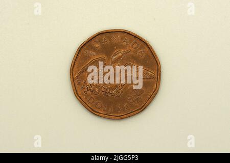 one dollar coin, $1, (Common loon - Gavia immer), CAD, Canada, North America Stock Photo