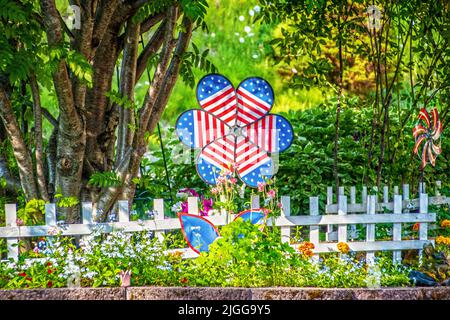 Red White and Blue Patriotic pinwheel flower in garden by white picket fence with trees and shubbery behind Stock Photo