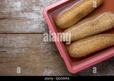 soaking gourd luffa or loofah fruit or sponge gourd in a solution of water and bleach to get rid of fungal and bacteria, natural scrubber product Stock Photo