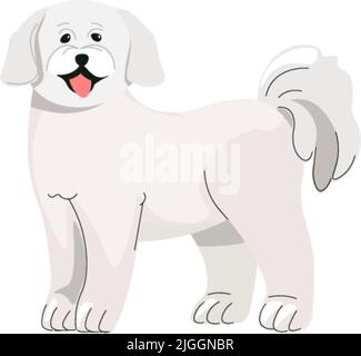 Poodle puppy, small dog canine animal pets vector Stock Vector