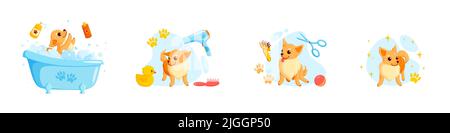 Dog grooming in a bath with pet shampoo, combs and rubber ducks. Playful chihuahua puppy in grooming service. Vector illustration in cute cartoon Stock Vector