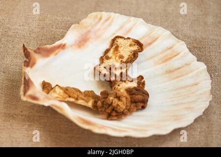 Ancient Roman cosmetics, retro perfume and vintage bath accessories. Reconstruction of events in the thermae of the Roman Empire Stock Photo