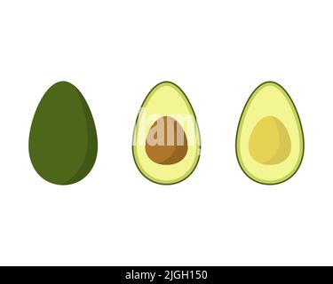 Avocado vector illustration isolated on white background Stock Vector