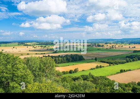 Cultivated landscape view in a rural area Stock Photo