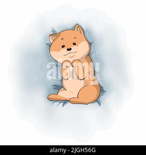 Cute Shiba Inu lies on the bed and shows her belly Stock Vector