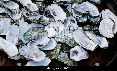 Oysters shells heap. selective focus. mediterranean cuisine Stock Photo