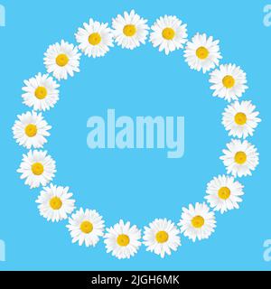 Vivid springtime background with a floral circle frame made from daisies. Stock Photo