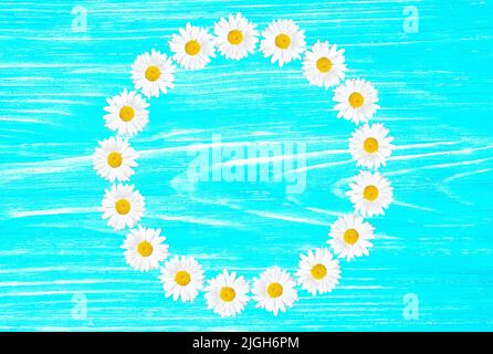 Floral circle frame made from fresh daisies arranged on blue wooden background with copy space. Stock Photo