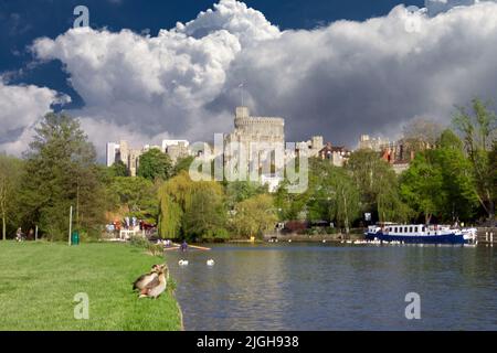 UK, Berkshire - Windsor castle Stock Photo
