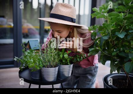 Young woman taking care of her herbs and smelling thme on terrace in tiny house, sustainable living. Stock Photo