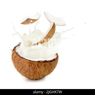 coconut milk and pieces spilling out half nut Stock Photo