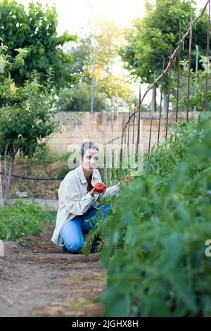 Vertical view of young blonde woman happy with her ecologic tomato in hand in a orchard