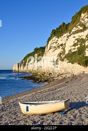 Devon Beer Beach and Beer Head Chalk Cliffs  Summer Stock Photo