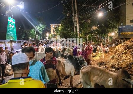 Dhaka, Bangladesh. 08th July, 2022. Vendors selling cows in the market for EID-UL-ADHA. EID-UL-ADHA is 2nd biggest festival for Muslims. People sacrifice cows and goats in this festival. This image was captured on 2022-07-07, from Shahajanpur EID-UL-ADHA cow market, Dhaka. (Photo by Md. Noor Hossain/Pacific Press/Sipa USA) Credit: Sipa USA/Alamy Live News Stock Photo