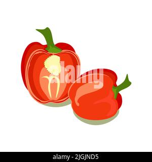 Bulgarian sweet pepper isolated on a white background, vector clipart Stock Vector