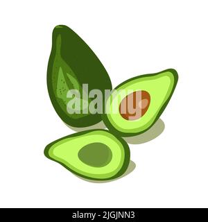 Whole avocado and avocado in cut Vector clipart illustration Stock Vector
