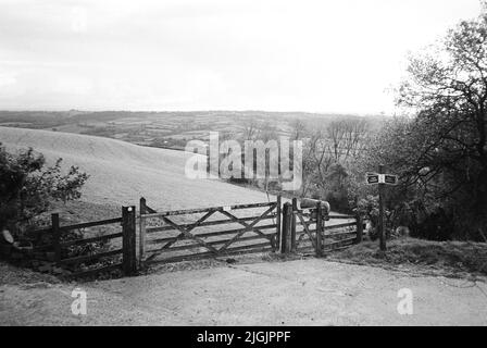 Bridleway, High Bickington, North Devon, England, United Kingdom. Stock Photo