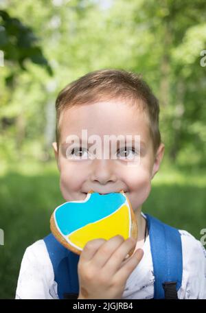 face portrait of a nice happy boy 3 years old with a gingerbread painted in yellow - blue colors of the Ukrainian flag. Pride to be Ukrainian. Love Uk Stock Photo