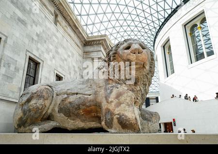 London, UK - 18th April 2022: The Lion of Knidos, a colossal Hellenistic marble statue of a recumbent lion dating from 2nd century BC, displayed in th
