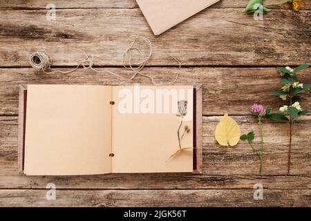 Open album with herbarium on page, free space Stock Photo