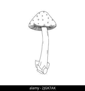 Mushroom illustration logo. Mushrooms tattoo highly detailed in line art style. Black and white clip art isolated on white background. Stock Vector