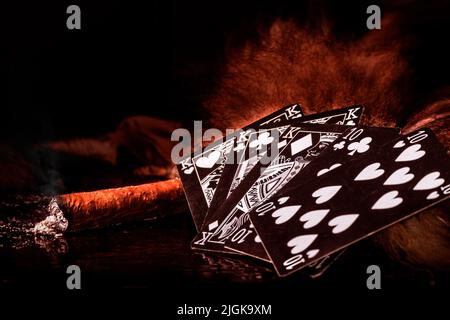 Closeup shot of a deck of cards with a winning hand of poker game lying on fur, next to a recently lit off cigar Stock Photo