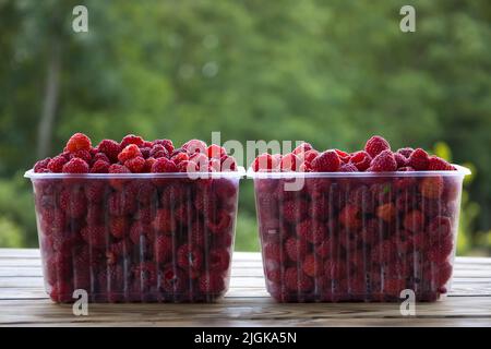 Trays with raspberries, blurred background. Stock Photo