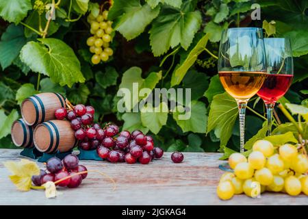 Winery concept. Glasses of white and red wine with miniature wine barrels on the wooden table with grape berries on background of vineyards. Wine tast Stock Photo