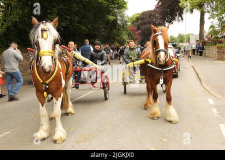 Two horses and traps standing side by side on the road, Appleby Horse Fair, Appleby in Westmorland, Cumbria Stock Photo