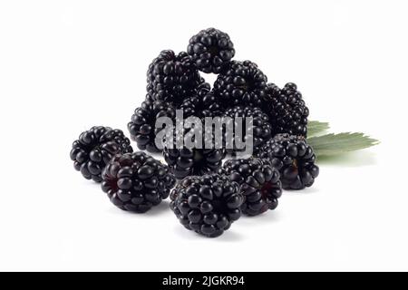 Fresh blackberries with leaf isolated on bright background. Close up view. Stock Photo