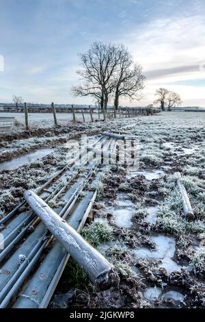 Frosty morning, frozen puddles and hoar frost in a field in North Yorkshire Stock Photo