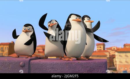 PRIVATE,RICO,SKIPPER,KOWALSKI, PENGUINS OF MADAGASCAR, 2014 Stock Photo ...