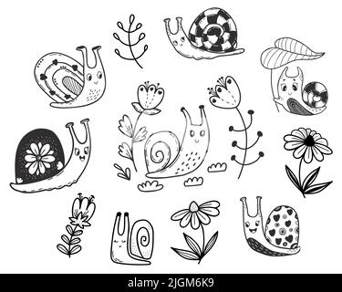 Collection Cute snail and decorative flowers, daisies and twigs. Linear ...