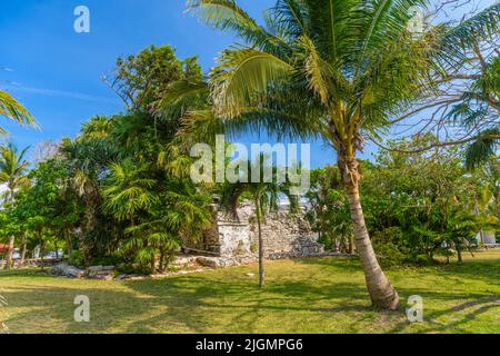 Playacar Mayan ruins in the forest park in Playa del Carmen, Yucatan, Mexico. Stock Photo