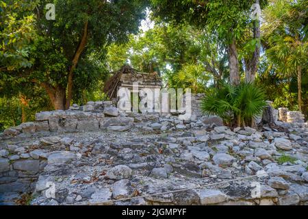 Playacar Mayan ruins in the forest park in Playa del Carmen, Yucatan, Mexico. Stock Photo