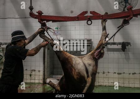 A worker carries a cut of beef in the Bogor City slaughterhouse in Bogor, West Java, Indonesia, on July 10, 2022 Stock Photo